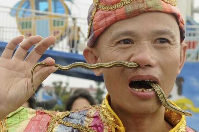 A man inserts a live snake through his nose and mouth during a performance