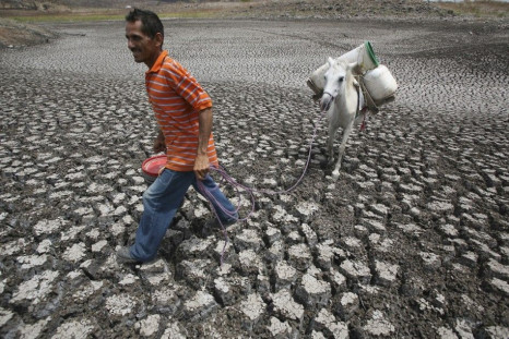 A villager looks for water as he walks on ground cracked by drought in Las Canoas Lake, some 59 km (50 miles) north of the capital. April 8,2010.The lack of rains caused by El Niño meterological Phenomena to decrease in water level of Lake Las Canoas, loc
