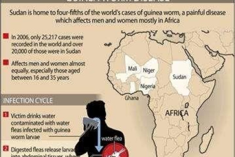 Guinea Worm Disease Eradication