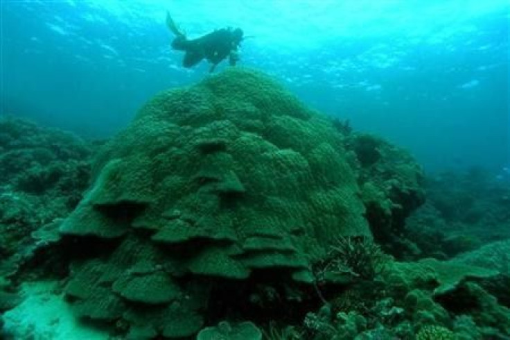 Great Barrier Reef Protected By Fishing Reserves