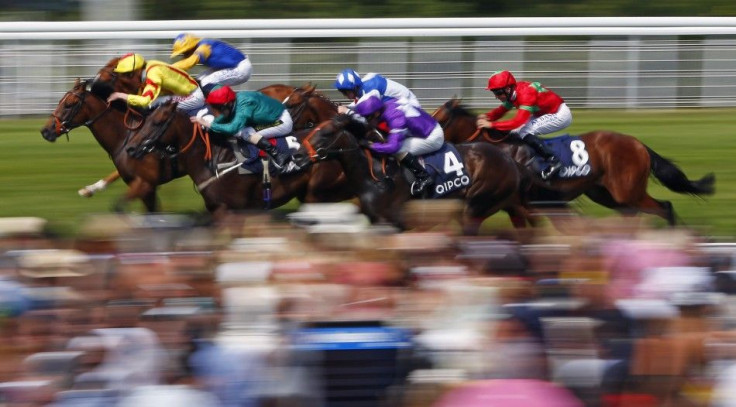 The field from The Qatar Bloodstock Richmond Stakes races for the finish line at Goodwood racecourse in southern England, July 31, 2014.