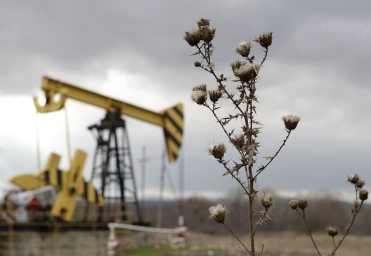 Plants are pictured near an oil pump