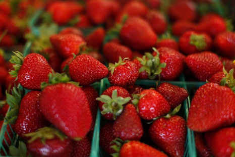 Freshly picked Albion strawberries are shown for sale at the roadside vegetable stand at Chino Farm in Rancho Santa Fe, California May 15, 2012.