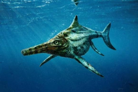 Scotland's Prehistoric Marine Reptile