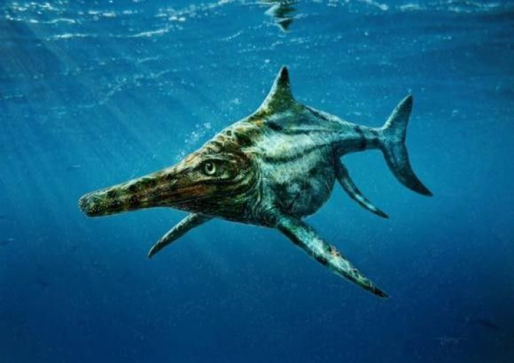 Scotland's Prehistoric Marine Reptile