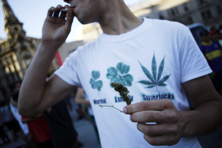 A man holds a marijuana flower
