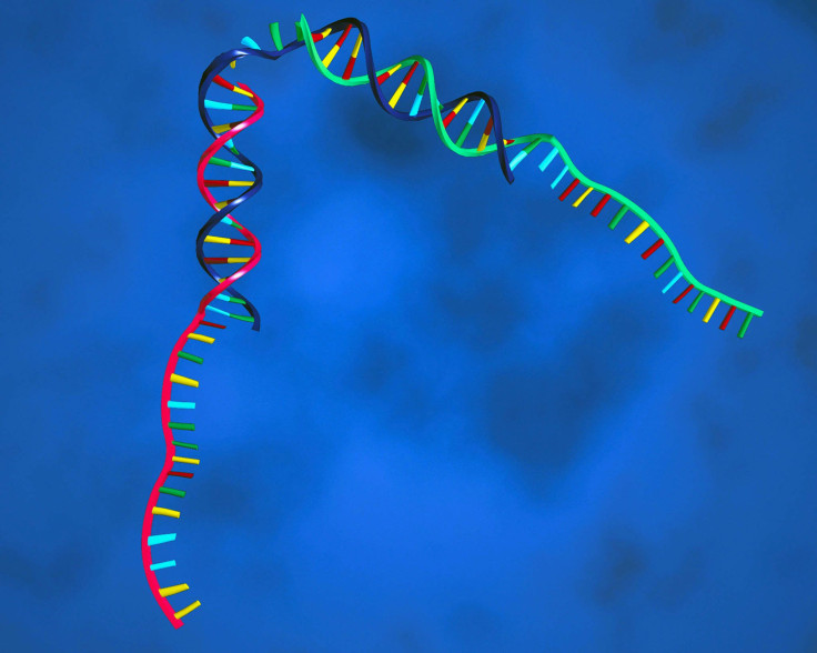 Role of smoking and Human Papilloma Virus in head and neck cancers- genomic alterations uncovered