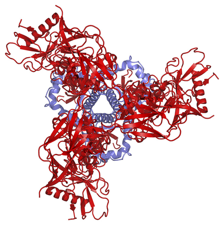 New Antibody-Based Treatment for HIV