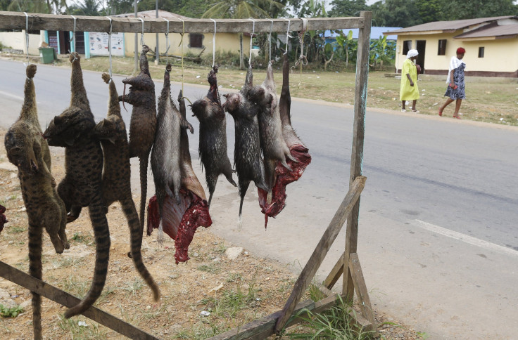 Bushmeat in urban households, a threat to Amazon wildlife