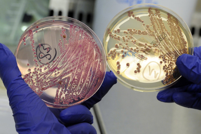 Multidrug Resistant Bacteria In Subway Stations
