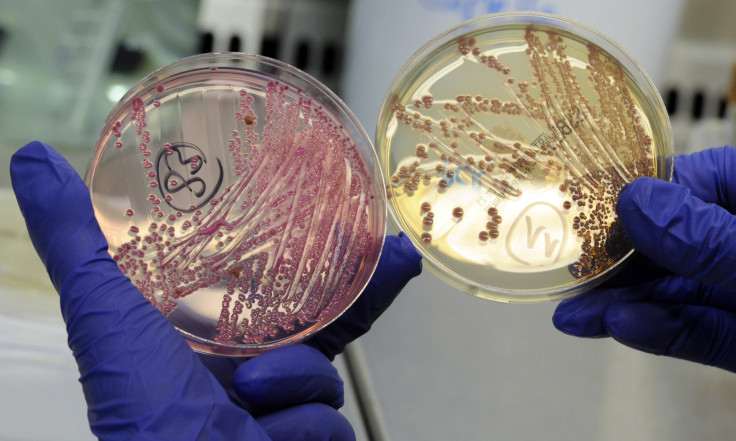 Multidrug Resistant Bacteria In Subway Stations