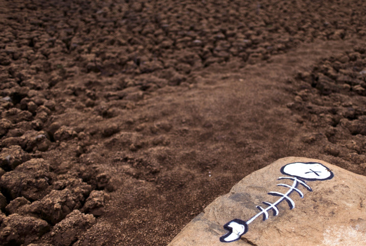 Part Of The Jaquari Reservoir During A Drought In Vargem, Sao Paulo