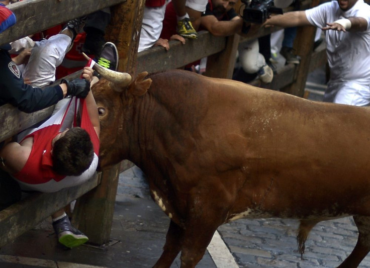 Bull Gores Runner