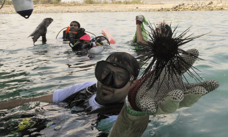 A diver holds up a sea urchin