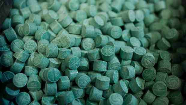molly