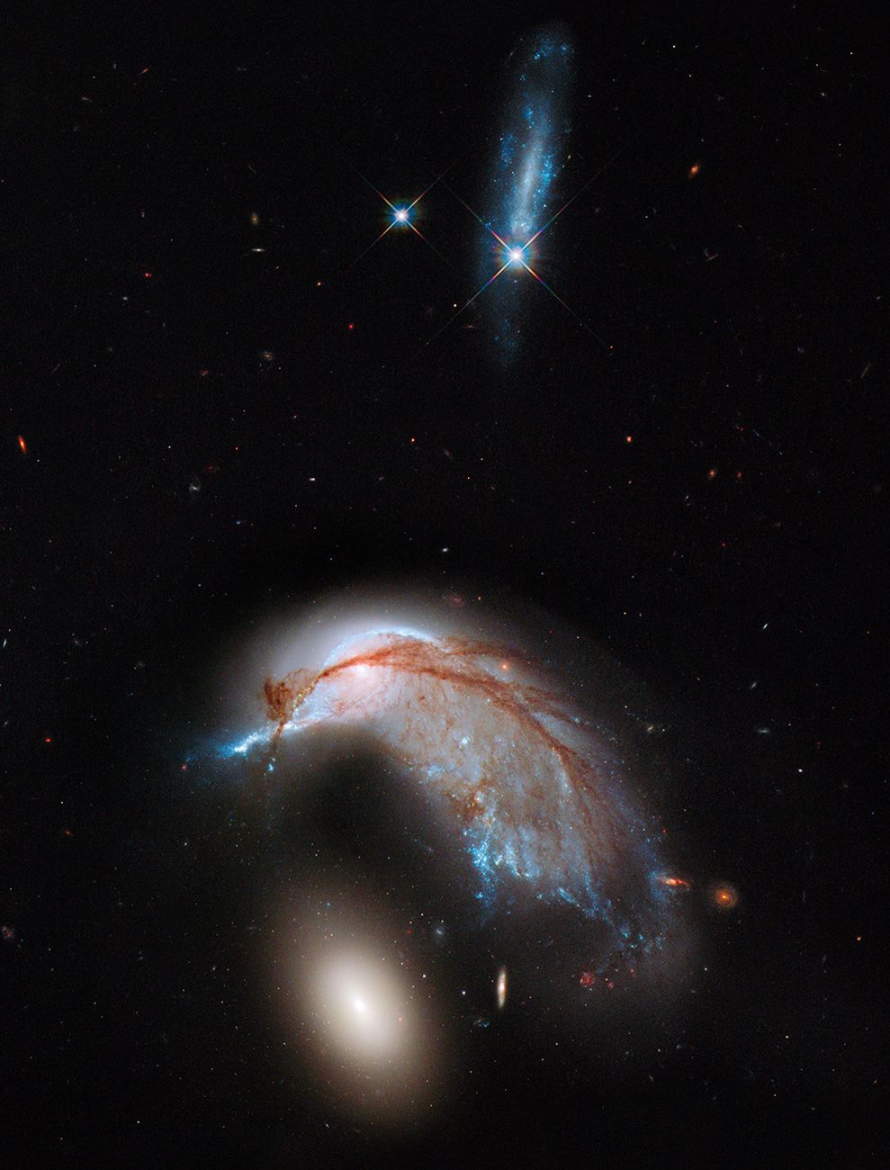 Merge Of Galaxies Results In The Formation Of A Celestial Penguin