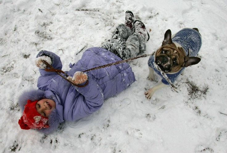 Girl and puppy