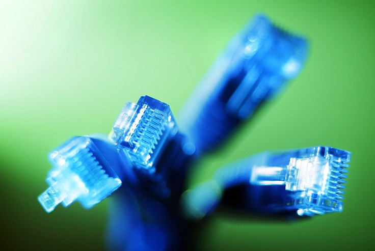 Internet LAN cables are pictured in this photo illustration taken in Sydney June 23, 2011.