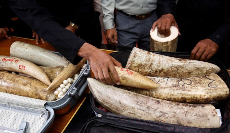 Ivory confiscated