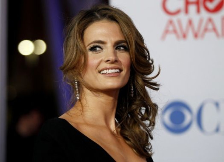 Actress Stana Katic from the TV series "Castle"