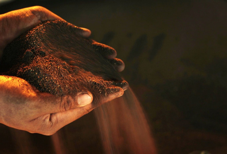 A worker poses with a handful of nickel ore at the nickel mining factory of PT Vale Tbk, near Sorowako, Indonesia's Sulawesi island, January 8, 2014.