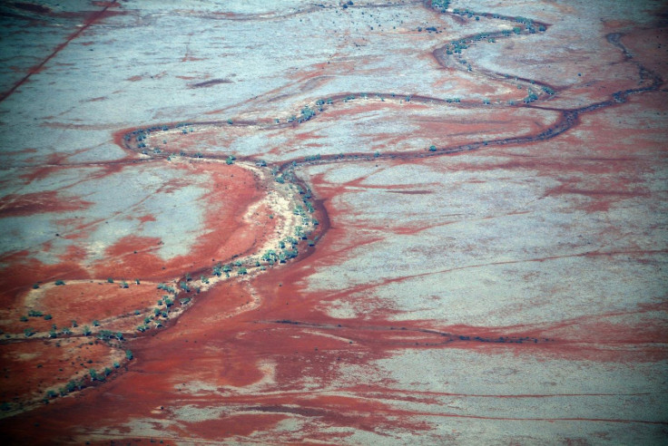 Trees grow in a dried-up river bed in the Pilbara region of Western Australia December 2, 2013.