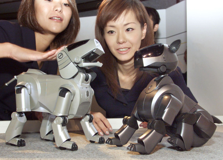 Robotic Pets To Replace The Real Ones In A Decade