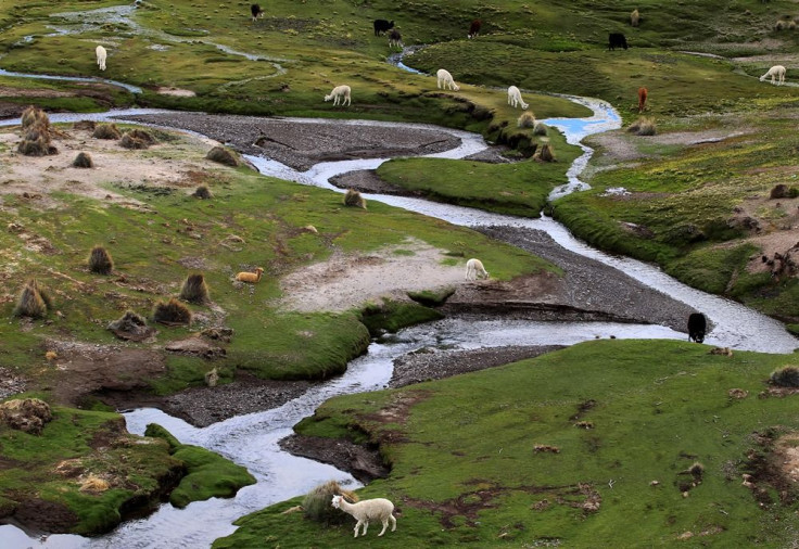 Mountain streams