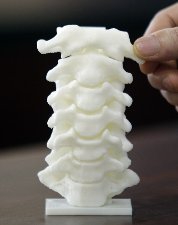 Spine Model