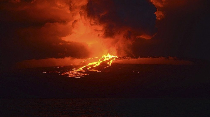 Wolf Volcano Eruption