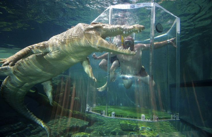 Crocosaurus Cove