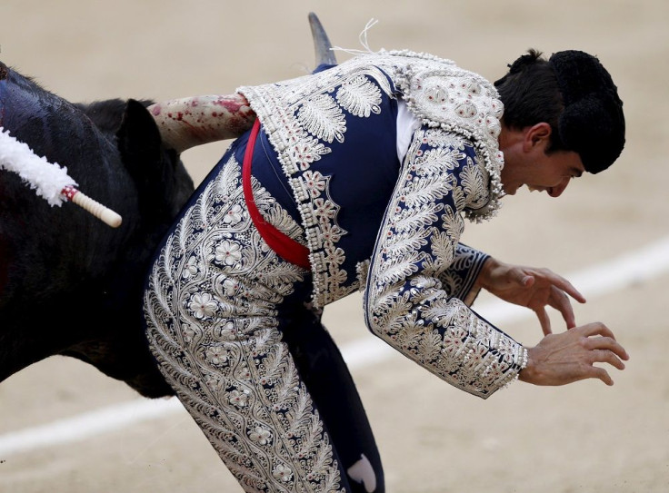Bullfight Assistant Marco Galan