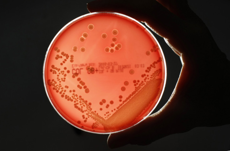 Drug-resistant Superbug