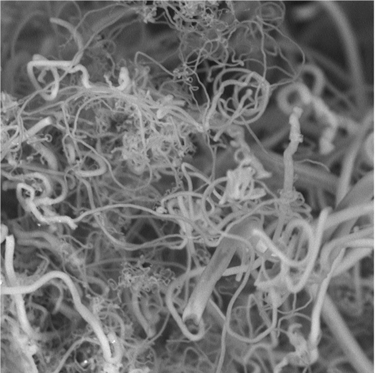 Carbon nanofibres