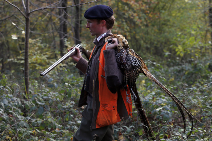 Bird hunting game in France