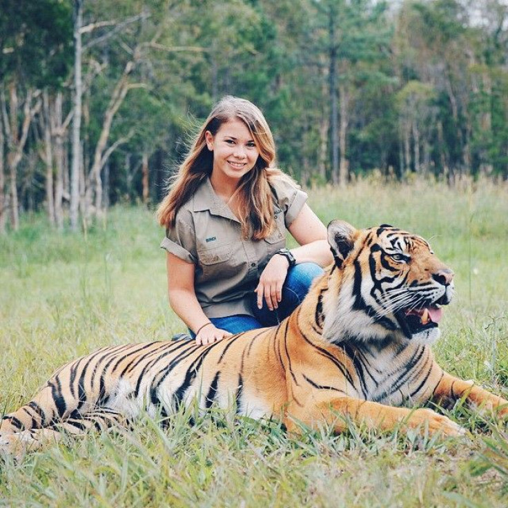 Australian animal activist Bindi Irwin, daughter of "Crocodile Hunter" Steve Irwin, poses with a tiger.