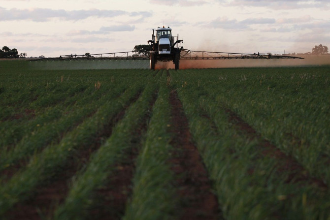 A farm worker fumigates a wheat crop at a farm in Condobolin 285 miles (489 km), west of Sydney July 5, 2011.