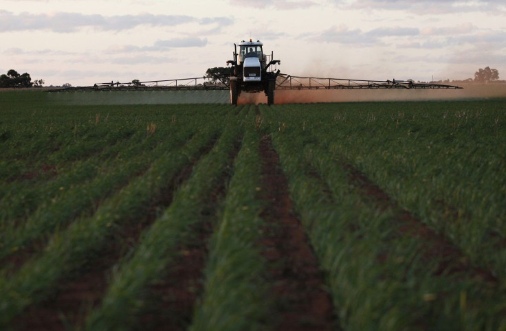 A farm worker fumigates a wheat crop at a farm in Condobolin 285 miles (489 km), west of Sydney July 5, 2011.