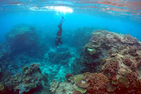 Great Barrier Reef under threat