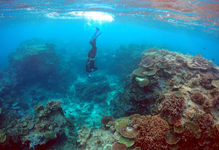 Great Barrier Reef under threat