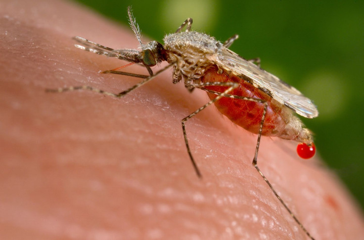 Malaria