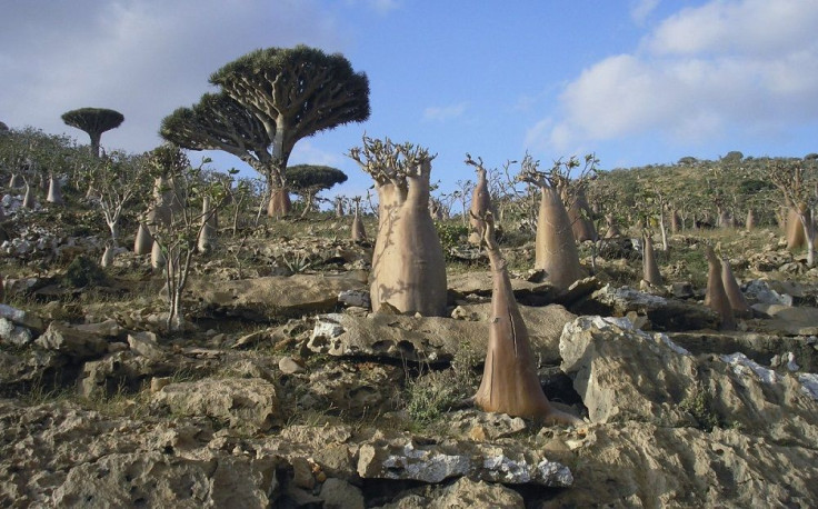 Socotra Islands