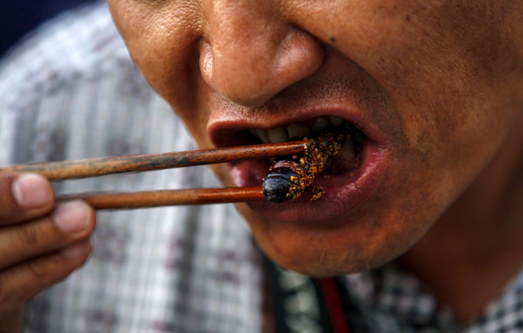 Eating Insects