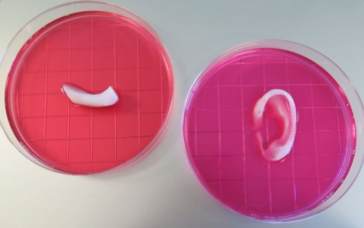 3D Ear