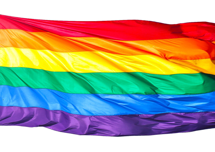 The Gay Flag