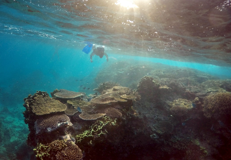 Great Barrier Reef