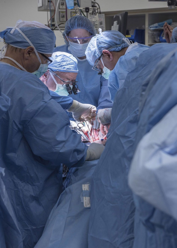 Uterine Transplant