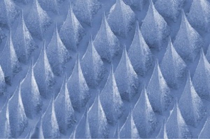 Microneedle-array Patch