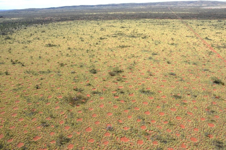 Fairy Circles 2