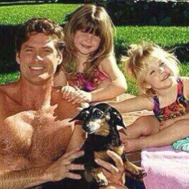 David Hasselhoff Younger